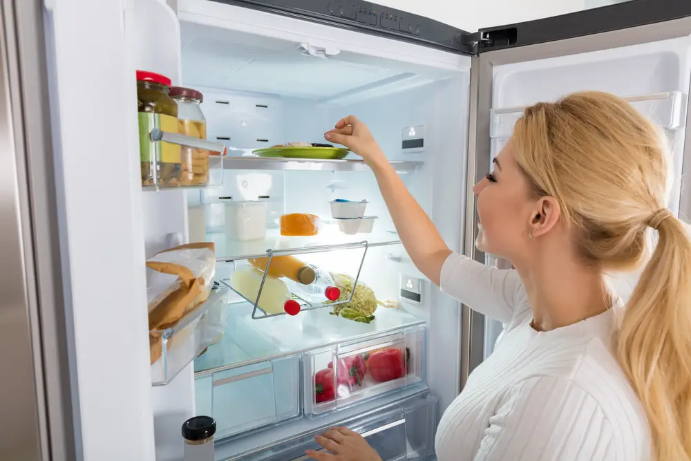 how long should you leave a fridge freezer to settle