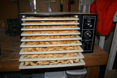 Using a kitchen appliance to dehydrate an apple