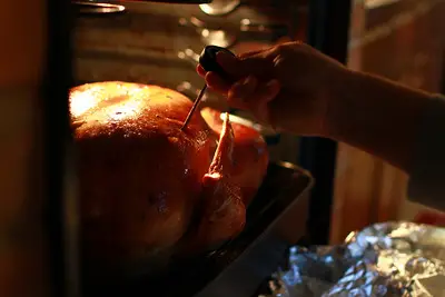 Taking the Turkey's temperature