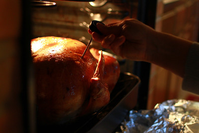 Taking the Turkey's temperature