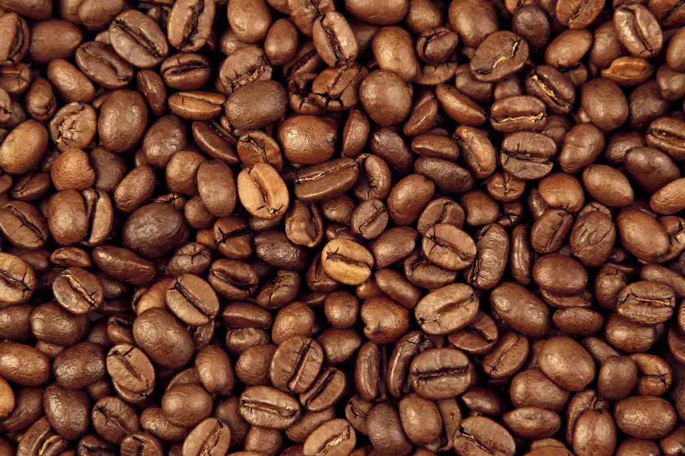 how long do coffee beans last