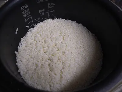 uncooked grains inside a container bowl